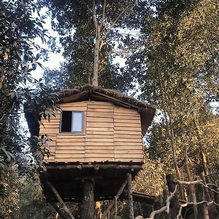 Bunjungle Adventures Hotell Katmandu Eksteriør bilde