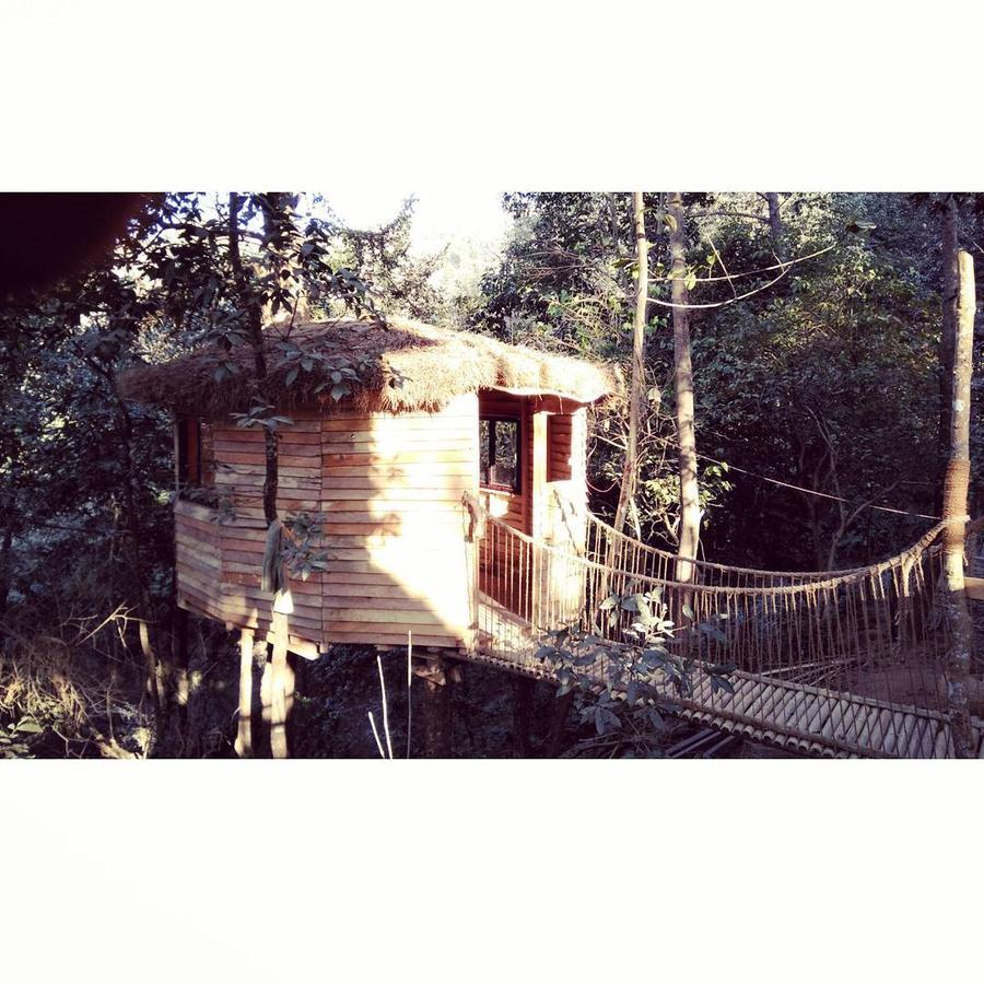 Bunjungle Adventures Hotell Katmandu Eksteriør bilde